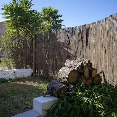 Pe Na Torres Vedras